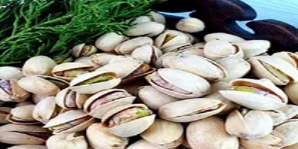 تصویر 4 از خرید پسته اکبری دستچین شور + قیمت فروش استثنایی